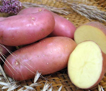Несколько вариантов картофельной диеты
