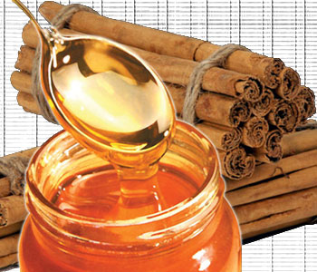 Корица с медом как один из способов похудения