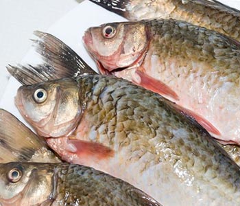 Как правильно выбрать свежую рыбу – советы