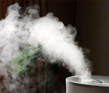 Как увлажнить сухой воздух в квартире