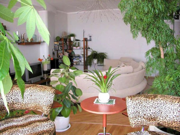 Композиции растений в интерьере вашего дома